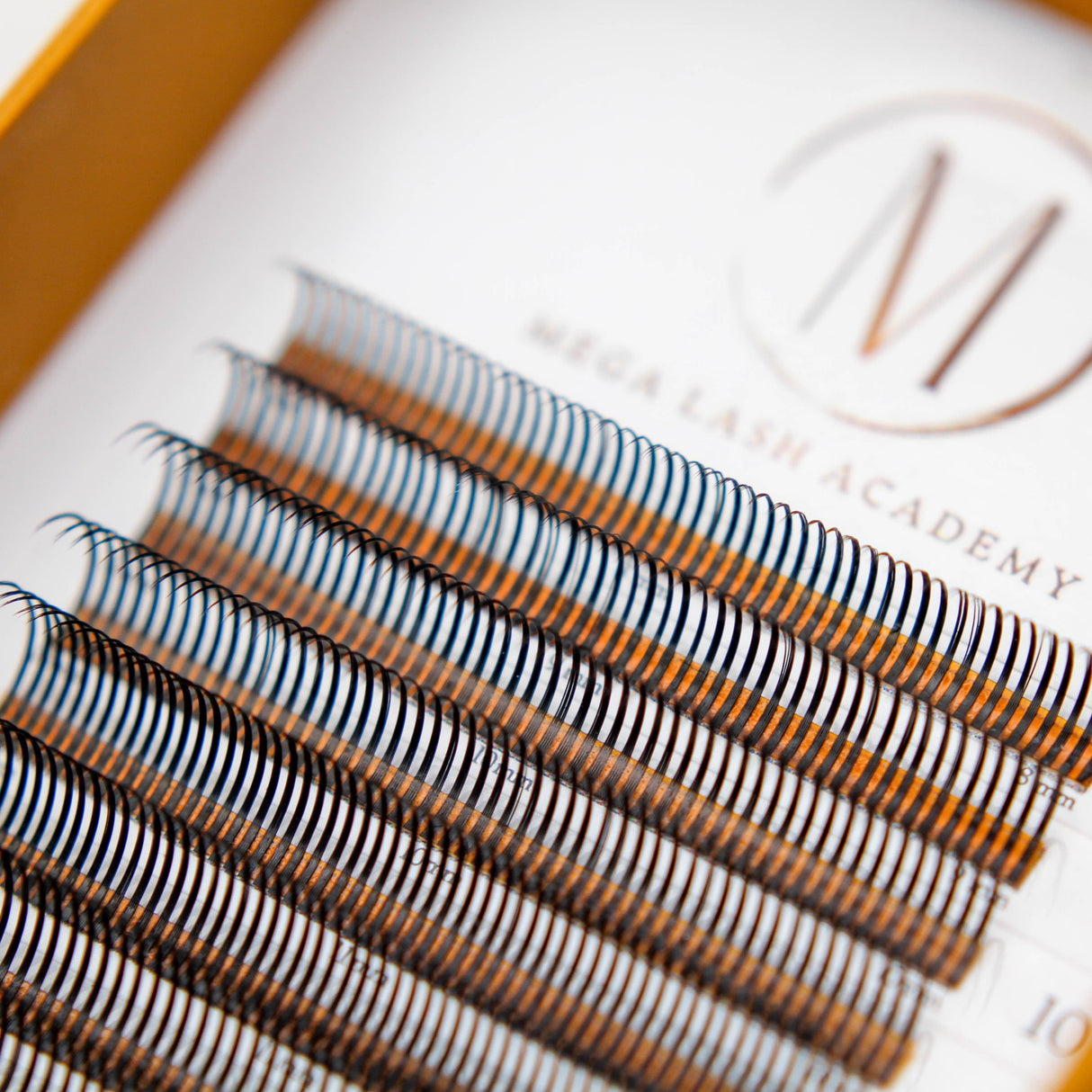 Closed Fans - Spikes for Wet Sets - 800 Fans 0.07 from Mega Lash Academy