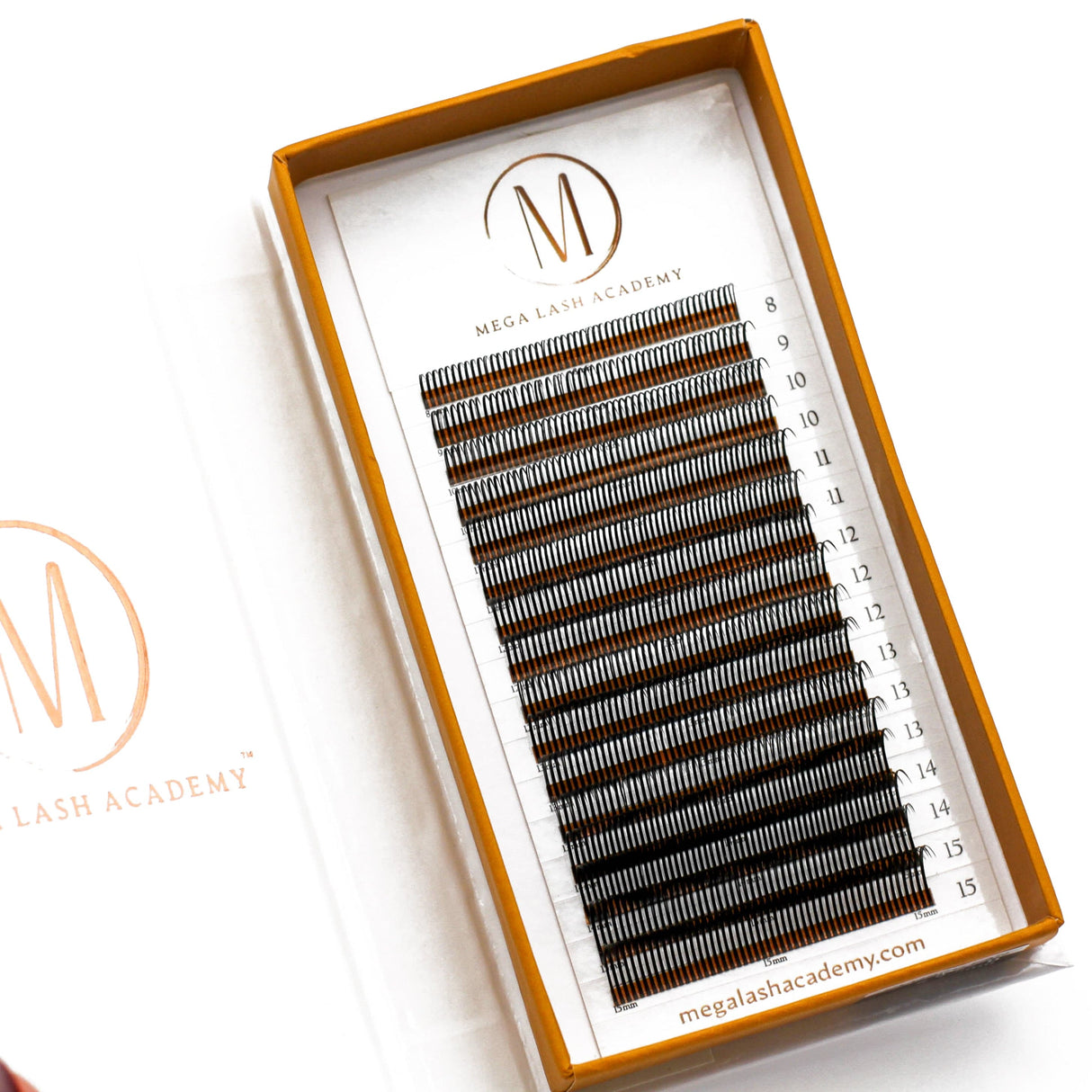 Closed Fans - Spikes for Wet Sets - 800 Fans 0.07 from Mega Lash Academy