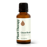 Clove Bud Essential Oil From Plant Therapy