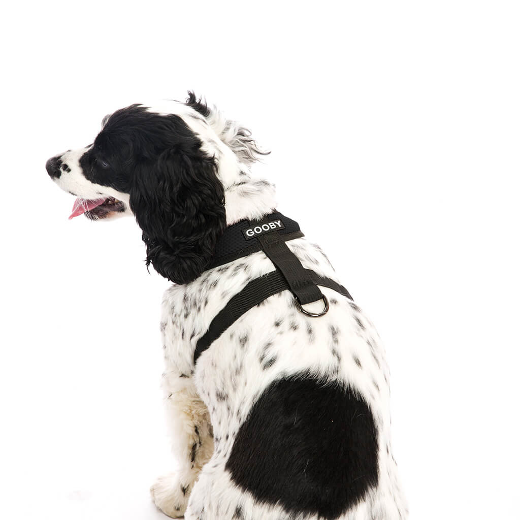 Comfort X Harness from Gooby