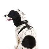 Comfort X Harness from Gooby