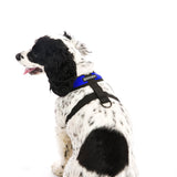 Comfort X Harness from Gooby