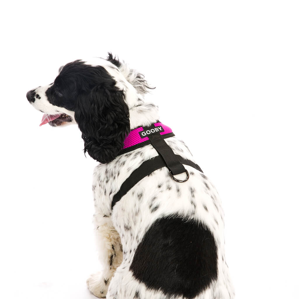 Comfort X Harness from Gooby