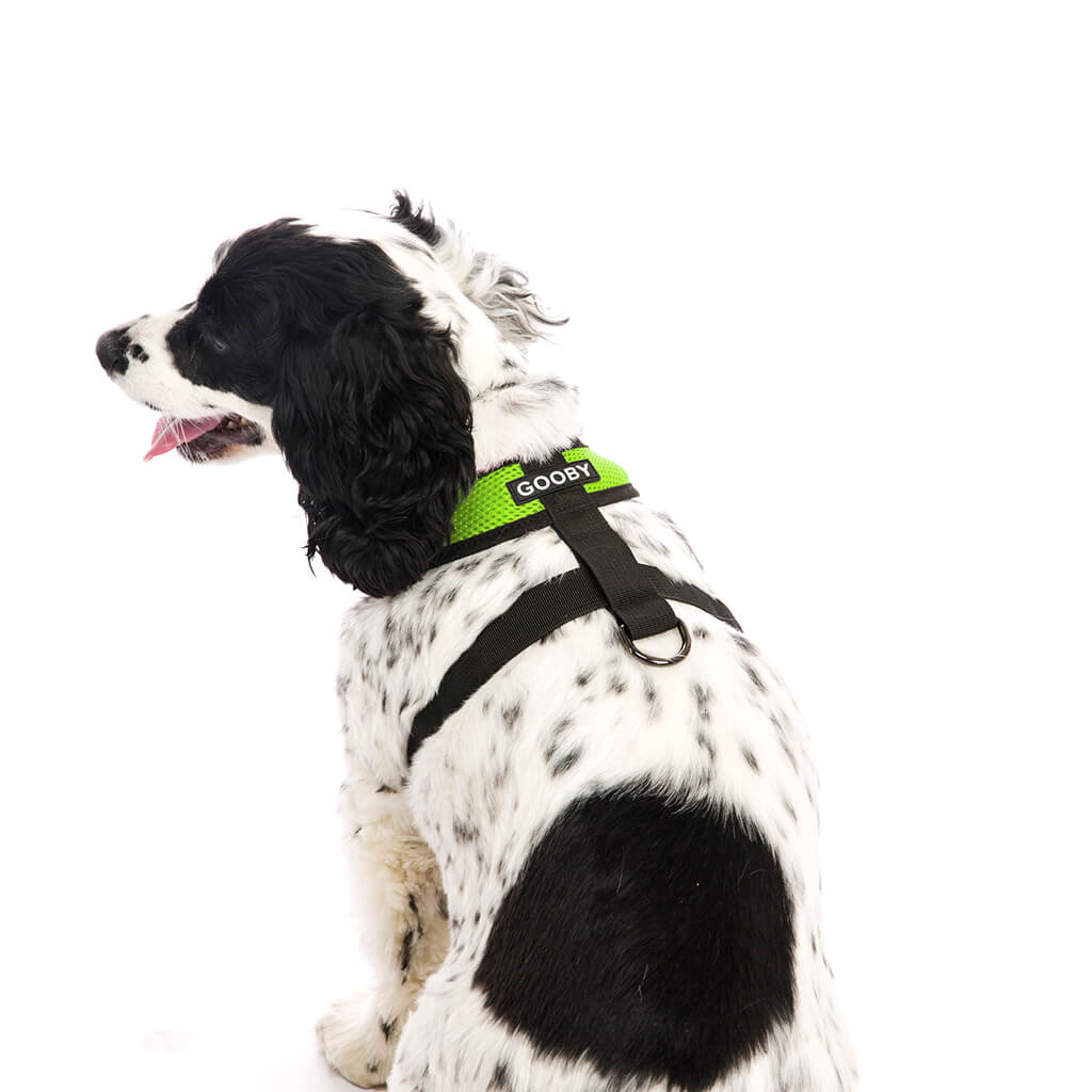 Comfort X Harness from Gooby