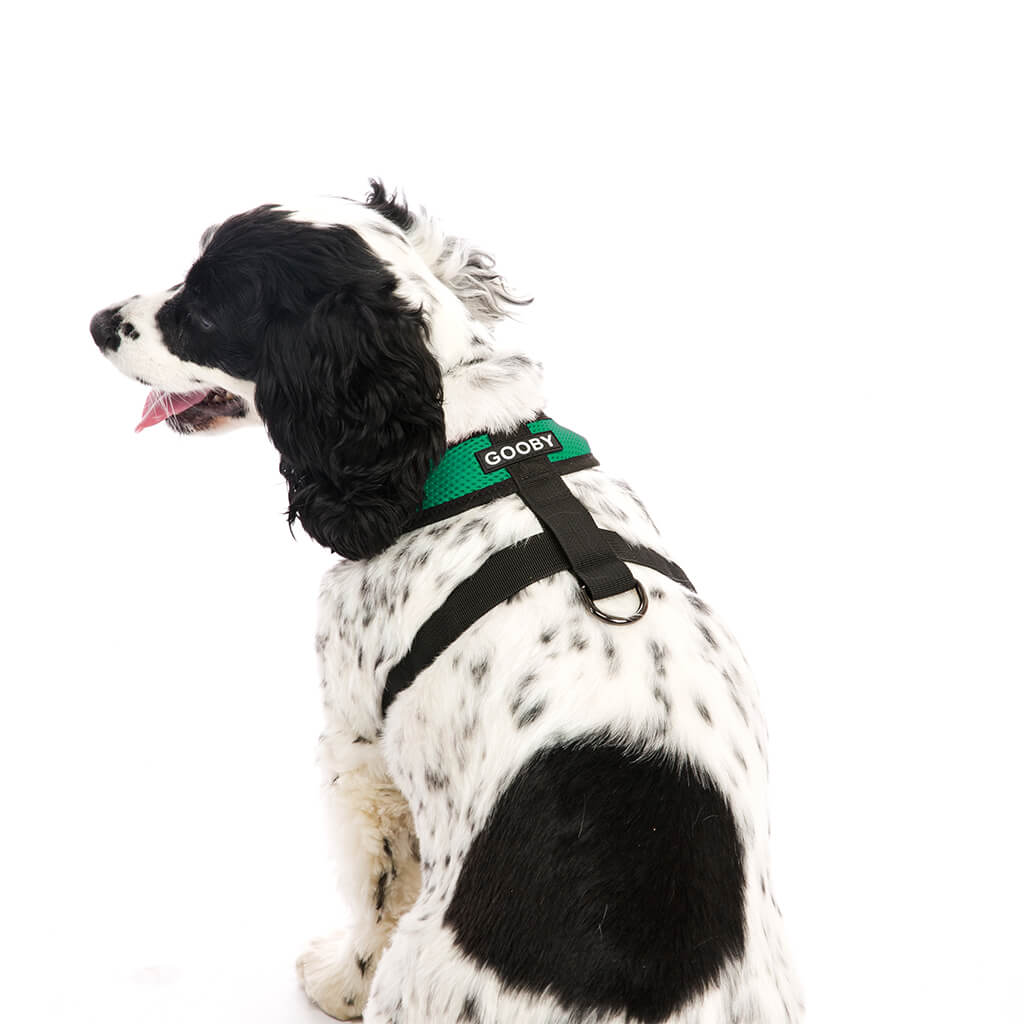 Comfort X Harness from Gooby