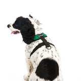 Comfort X Harness from Gooby