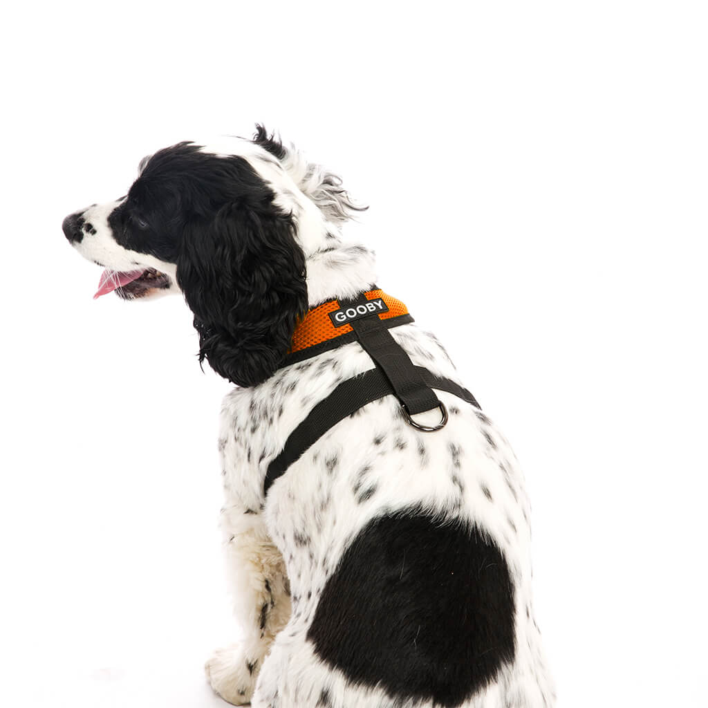 Comfort X Harness from Gooby