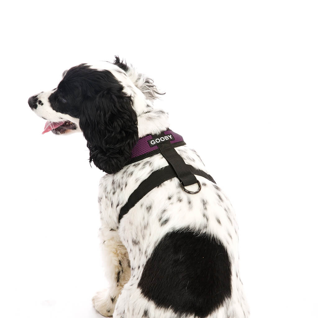 Comfort X Harness from Gooby