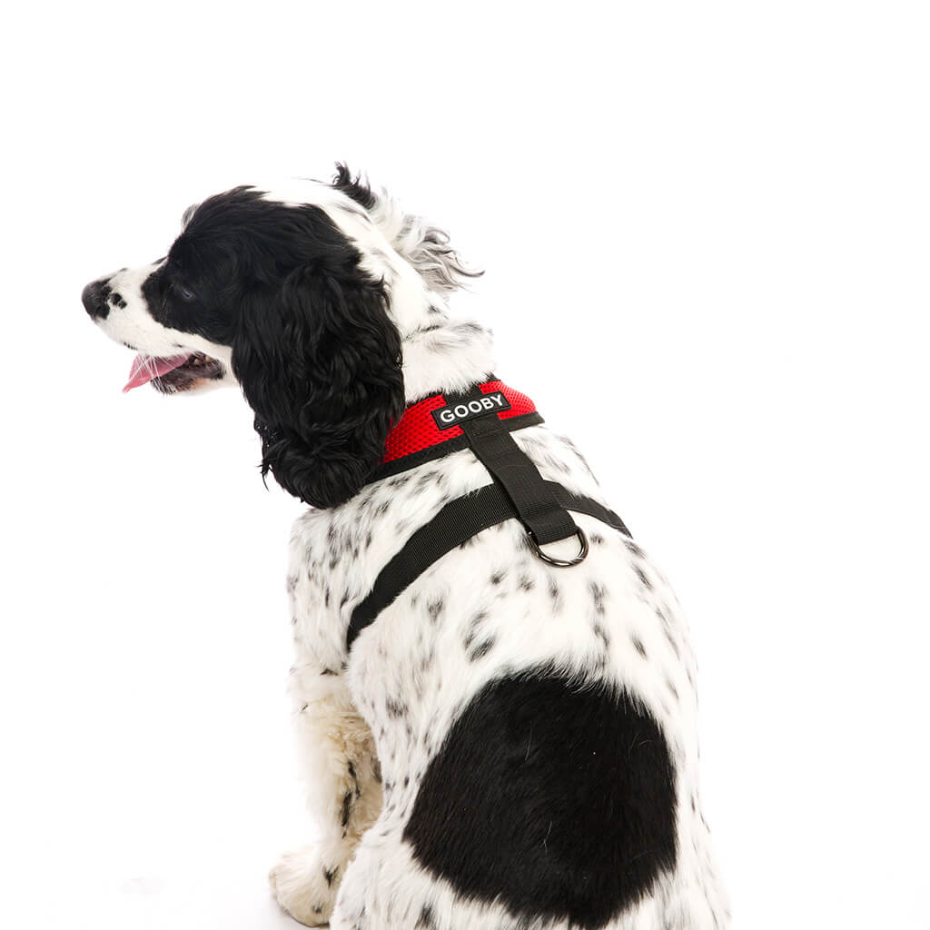 Comfort X Harness from Gooby