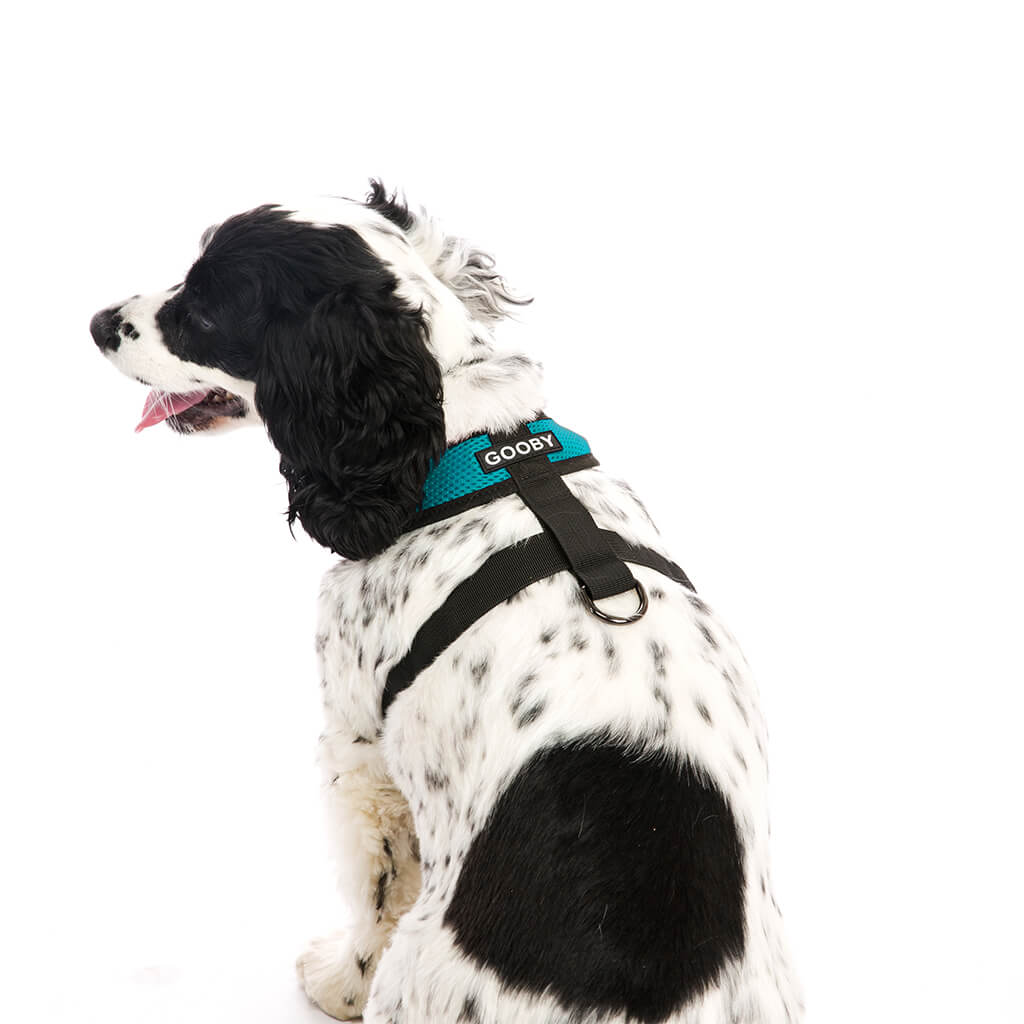 Comfort X Harness from Gooby