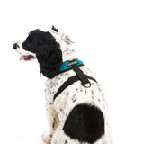 Comfort X Harness from Gooby