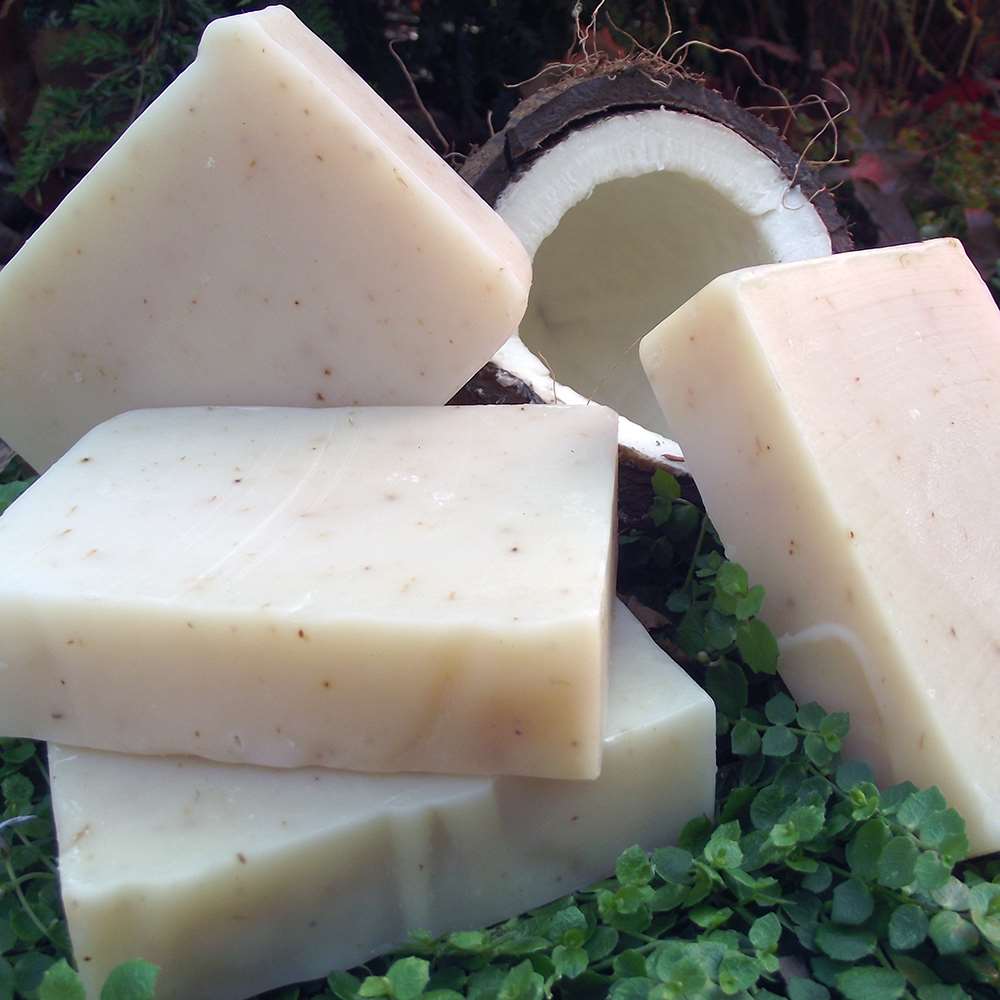 Natural Soap: Coconut Shea From Chagrin Valley Soap & Salve
