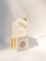 Coconut Home Bar from Circular Bodies