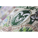 Colorado State University Collegiate Embroidered Pillow by CatStudio from Quirks!