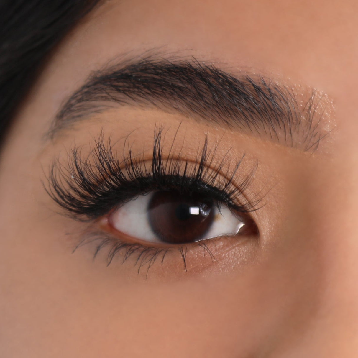 Mink 3D Eyelashes - Compelling from Lurella Cosmetics