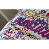 Connecticut Hand-Embroidered Pillow from Quirks!