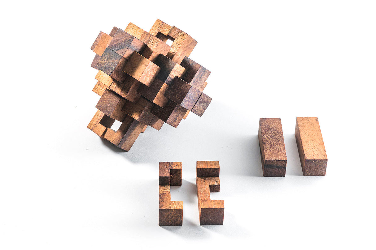 Construct Puzzle - Interlocking 24 piece Burr Puzzle from Kubiya Games