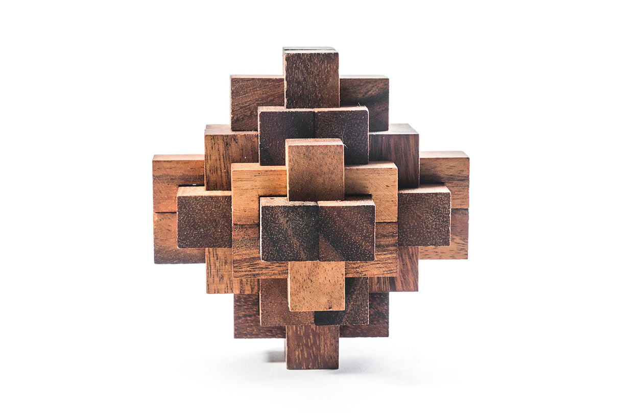 Construct Puzzle - Interlocking 24 piece Burr Puzzle from Kubiya Games
