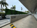 Natural Artificial Boxwood Wall 40" x 40" 11SQ FT Commercial Grade UV Resistant from Designer Plants USA