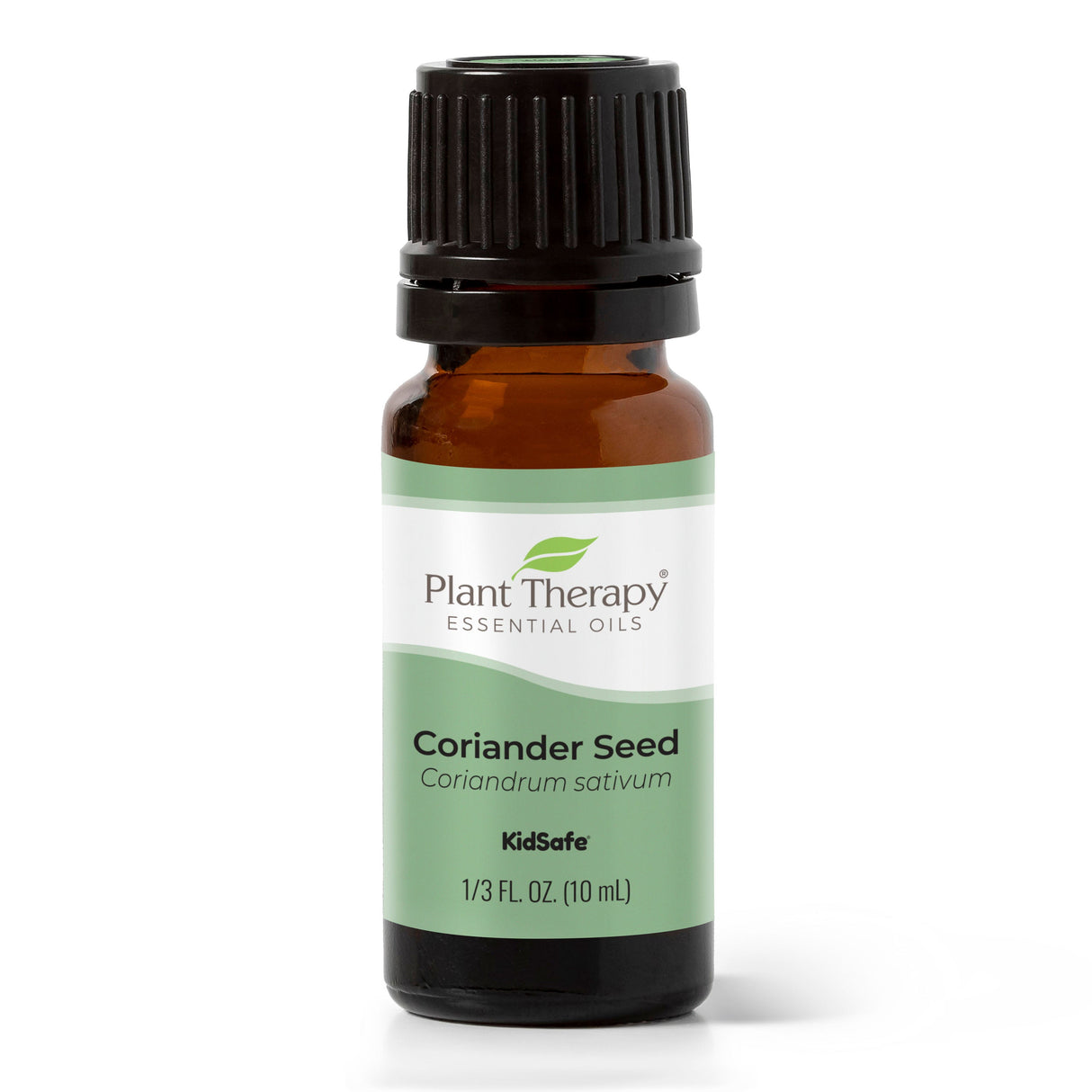 Coriander Seed Essential Oil From Plant Therapy