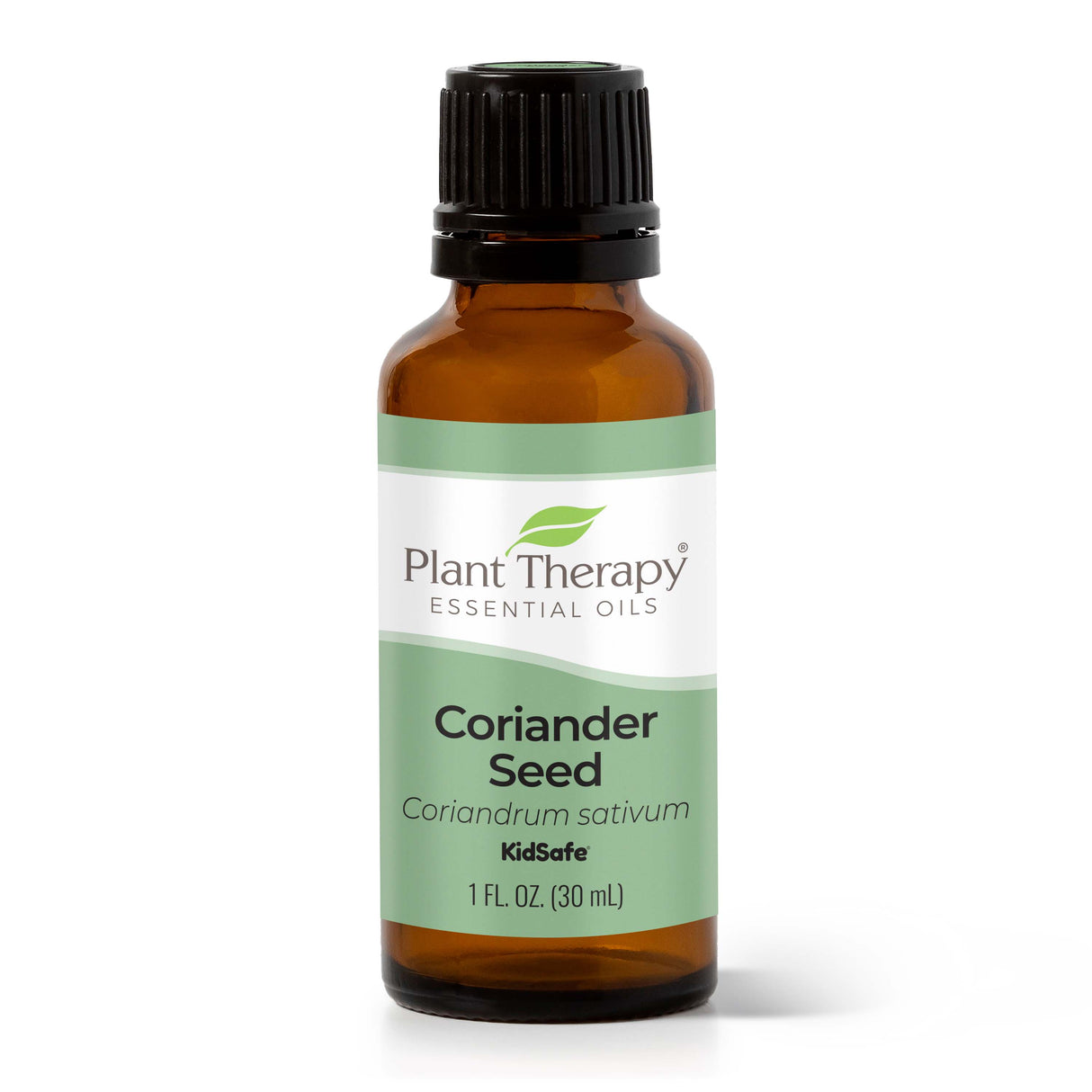 Coriander Seed Essential Oil From Plant Therapy