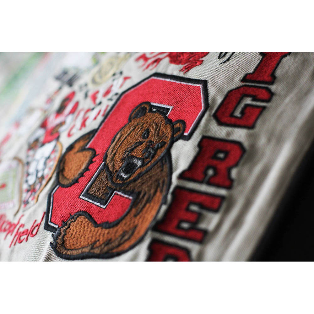 Cornell University Collegiate Embroidered Pillow by CatStudio from Quirks!