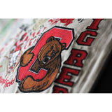 Cornell University Collegiate Embroidered Pillow by CatStudio from Quirks!
