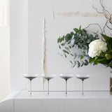 Smoke Stem Coupe Glasses from Hotel Collection
