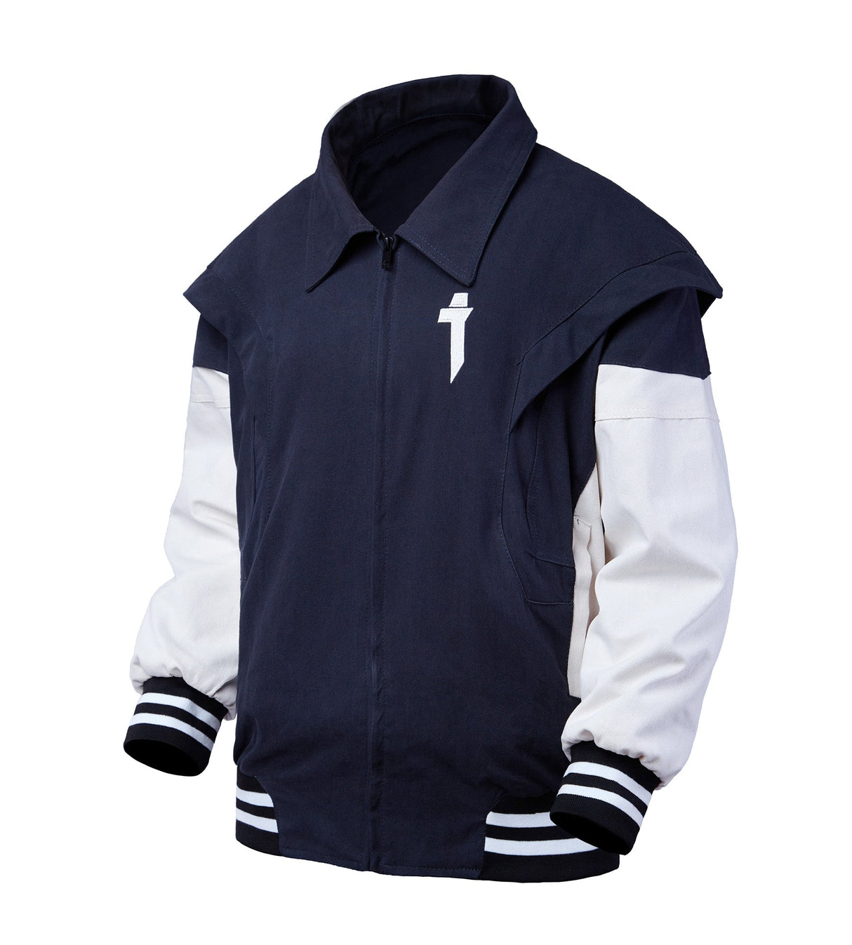 YEJ5 Resting Dragon Embroidery Jacket from Niepce Inc