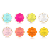 Daisy Spongette Assorted Pack From Spongellé