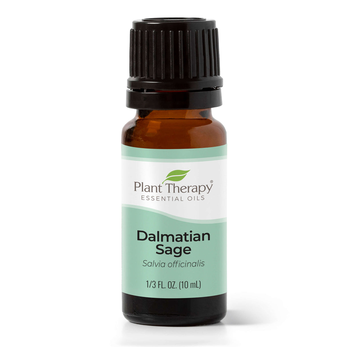 Dalmatian Sage Essential Oil From Plant Therapy