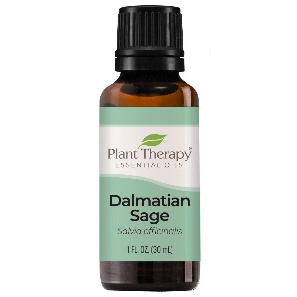 Dalmatian Sage Essential Oil From Plant Therapy