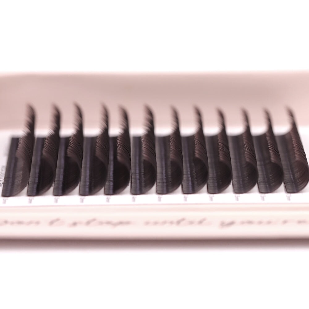 Dark Brown Classic Lash Tray from Mega Lash Academy