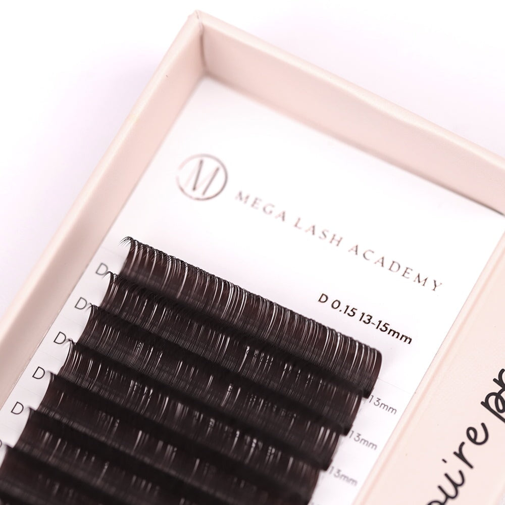 Dark Brown Classic Lash Tray from Mega Lash Academy