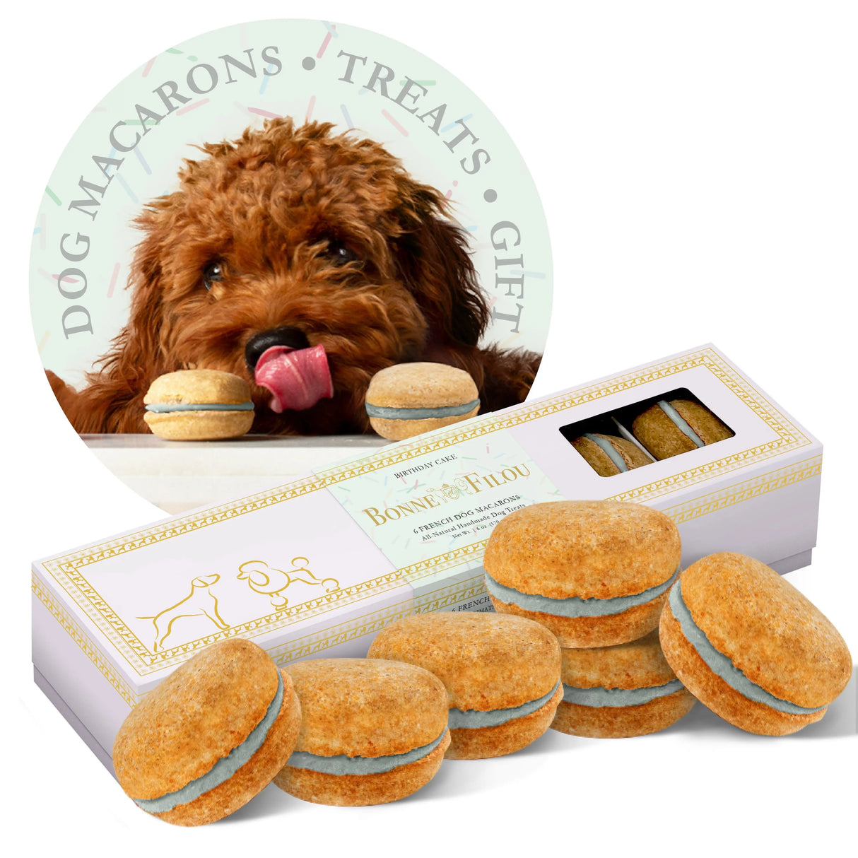 Dog Macarons (Box of 6) from Bonne et Filou