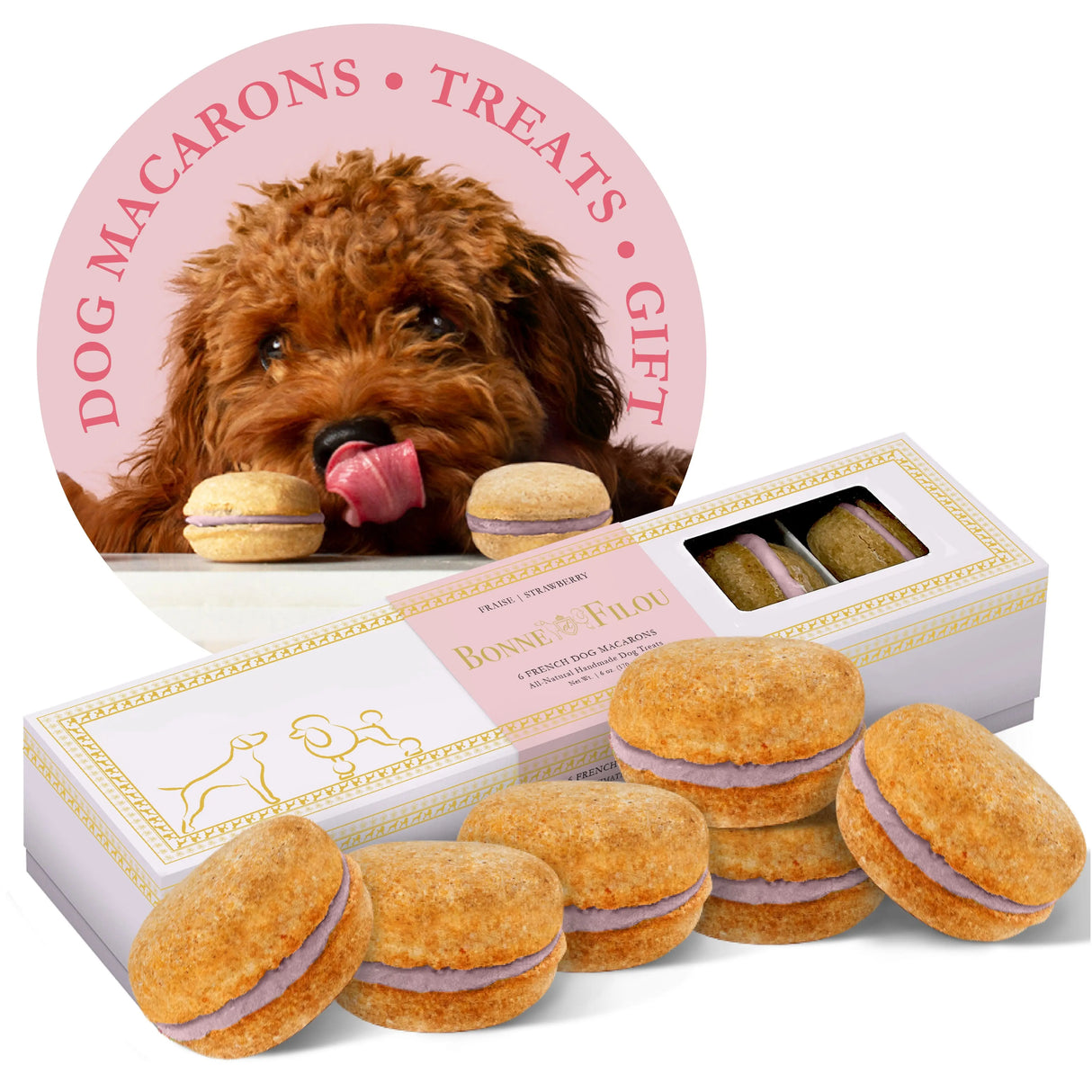 Dog Macarons (Box of 6) from Bonne et Filou