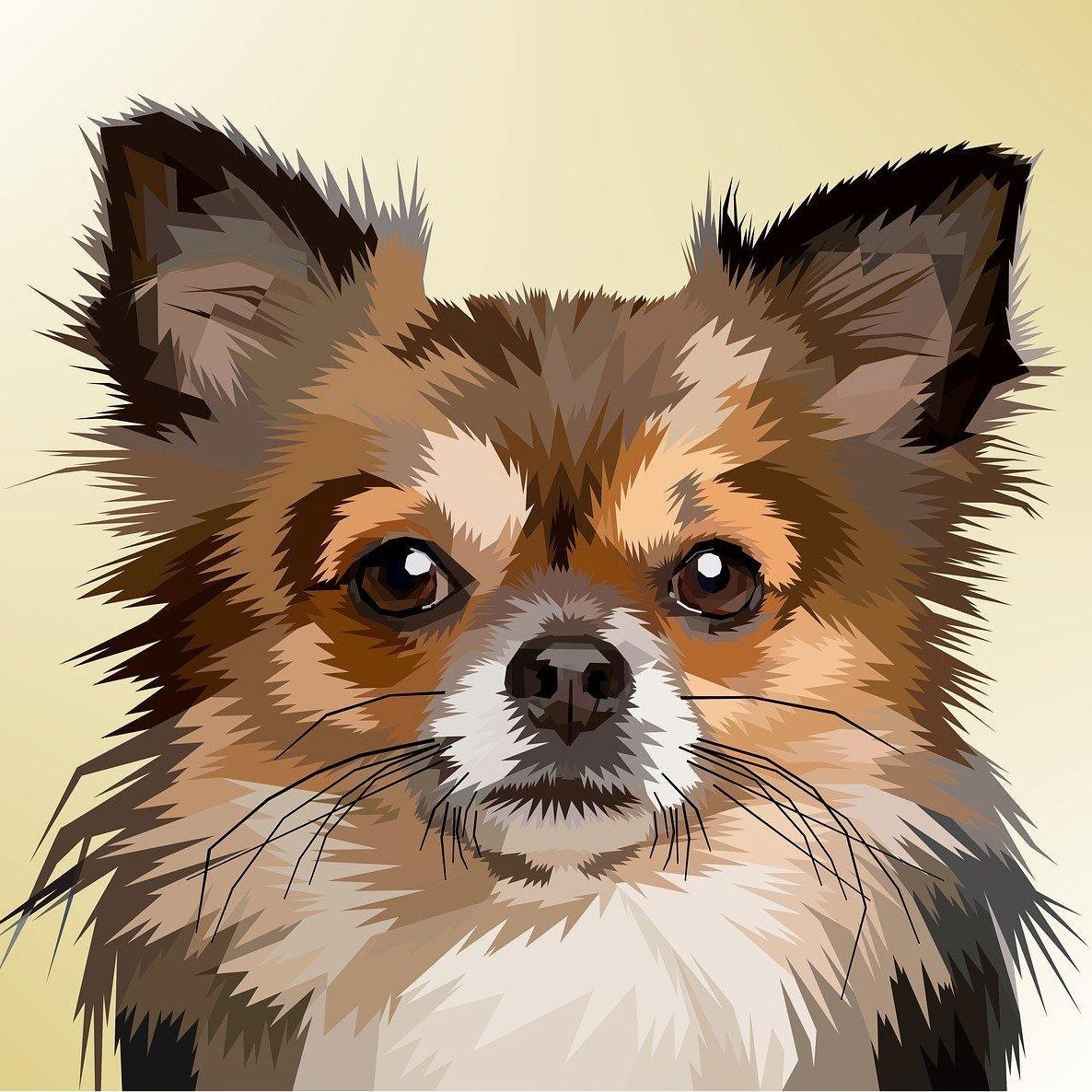 Dog Portrait WD2305 14.9 x 14.9 inches Wizardi Diamond Painting Kit from Wizardi