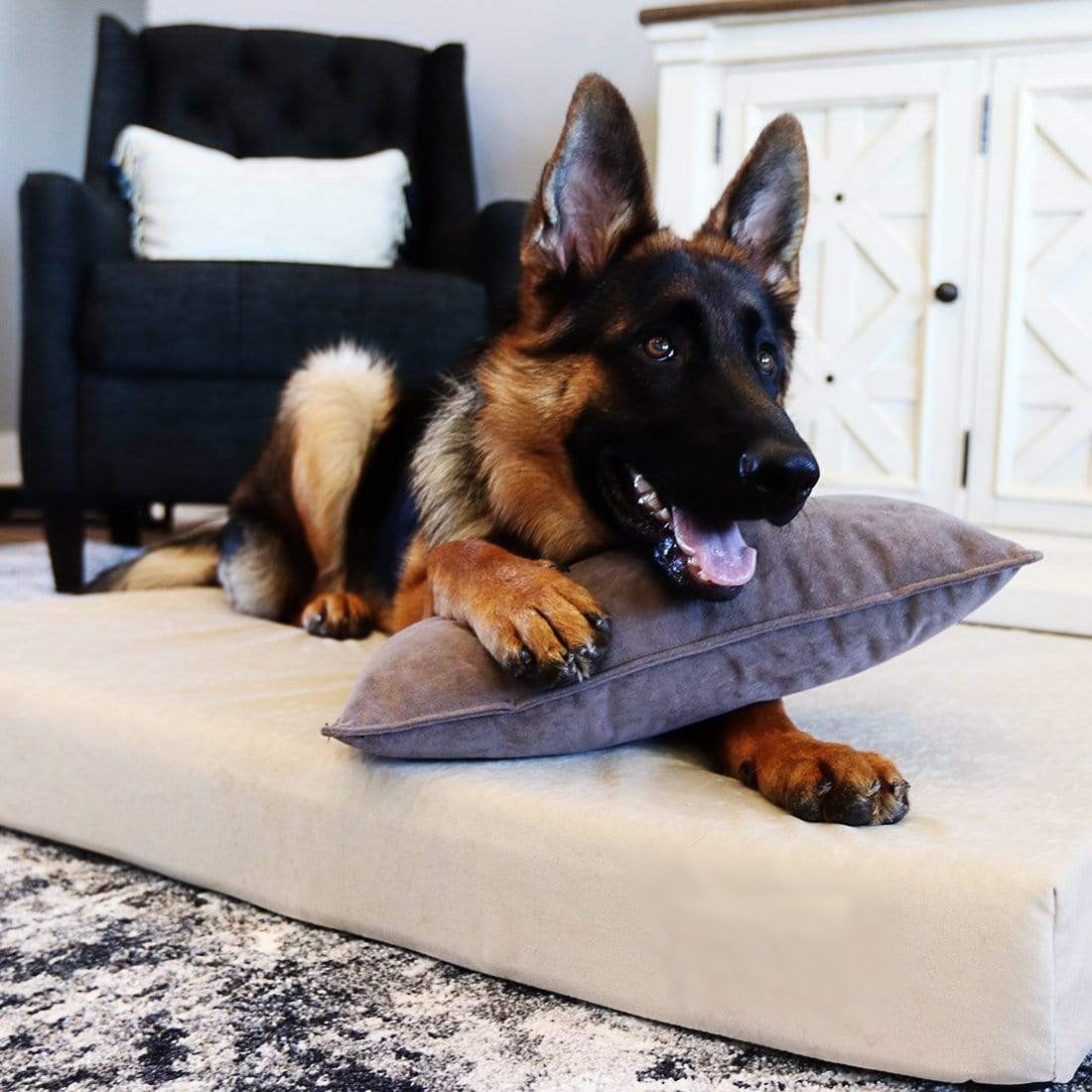 Deluxe Memory Foam Dog Bed From buddyrest.com