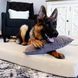 Deluxe Memory Foam Dog Bed From buddyrest.com