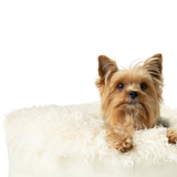 PupPouf™ Luxe Faux Fur Donut Dog Bed - Plush Sheep Ivory from Paw.com
