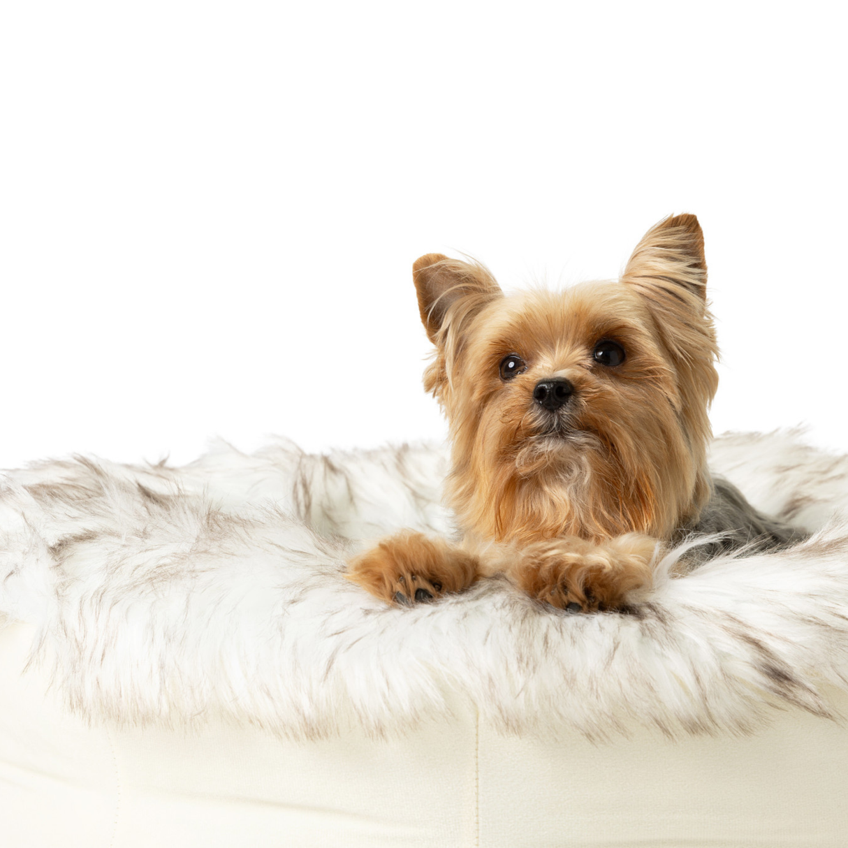 PupPouf™ Faux Fur Donut Dog Bed - White with Brown Accents from Paw.com