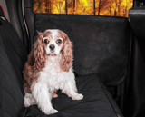 PupProtector™ Car Door Guard (2 pack) From Paw.com