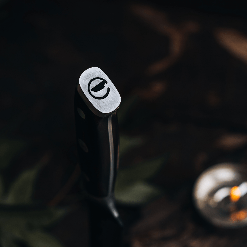 Dynasty Series 8" Chef Knife From TheCookingGuild