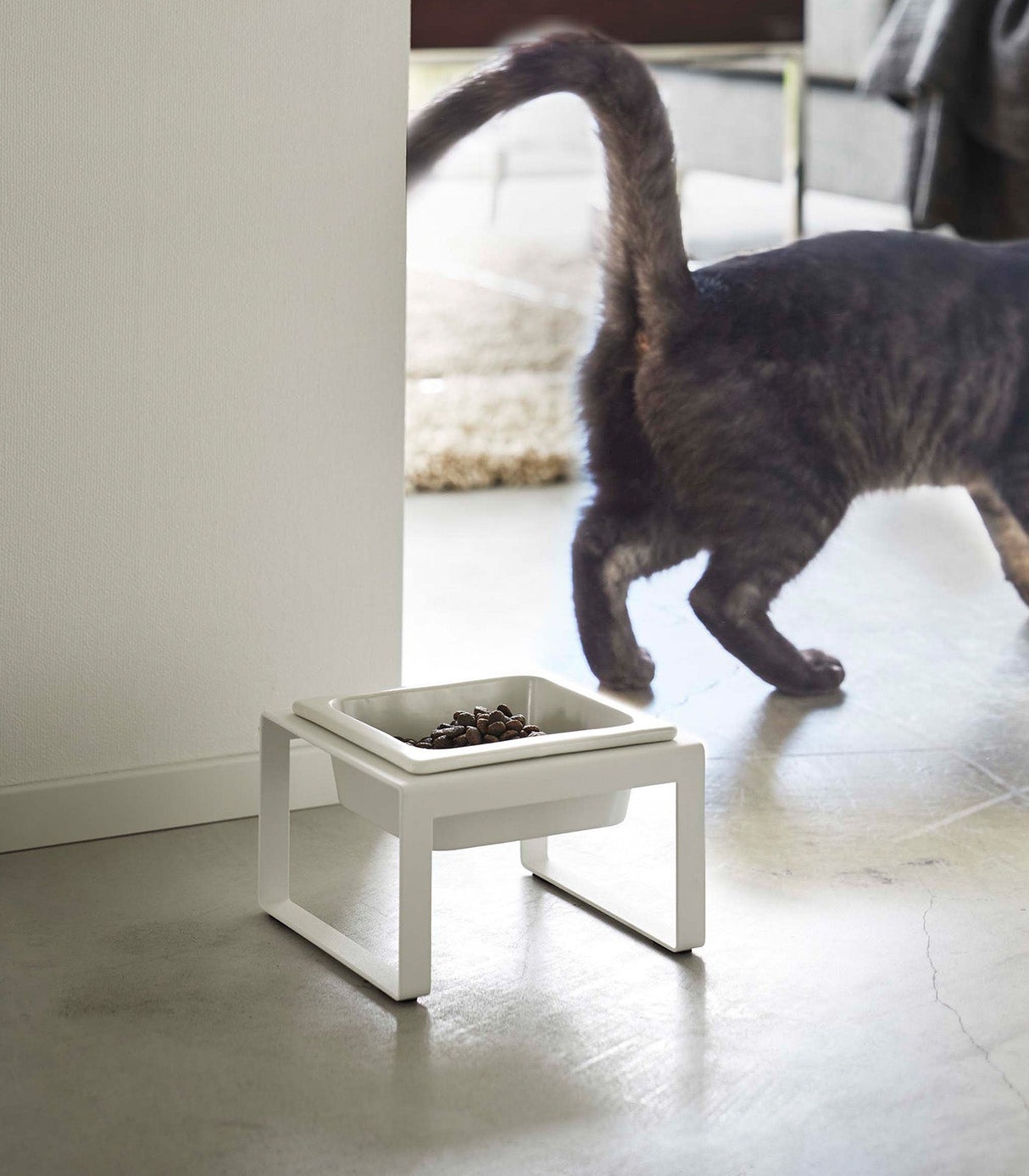 Single Pet Food Bowl - Two Styles - Steel + Ceramic from Yamazaki Home