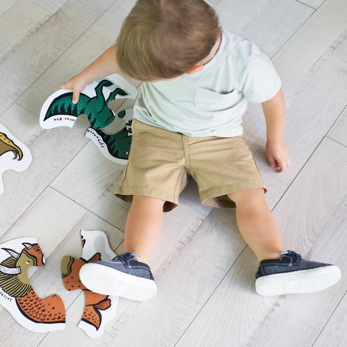 Beginner Puzzles - Dinos From Wee Gallery