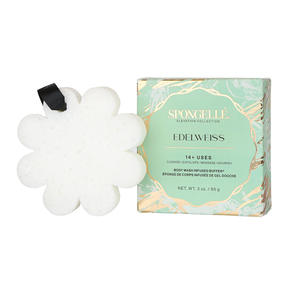 Edelweiss | Elevation Boxed Flower from Spongellé