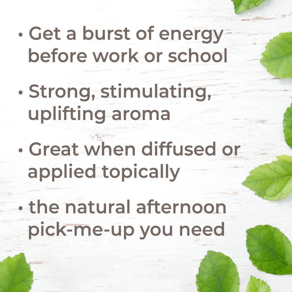 Organic Energy Essential Oil Blend from Plant Therapy
