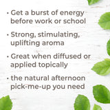 Organic Energy Essential Oil Blend from Plant Therapy
