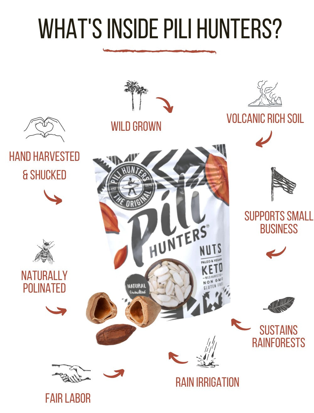 6-pack Pili Hunters™ Nut Variety FREE SHIPPING! from Pili Hunters