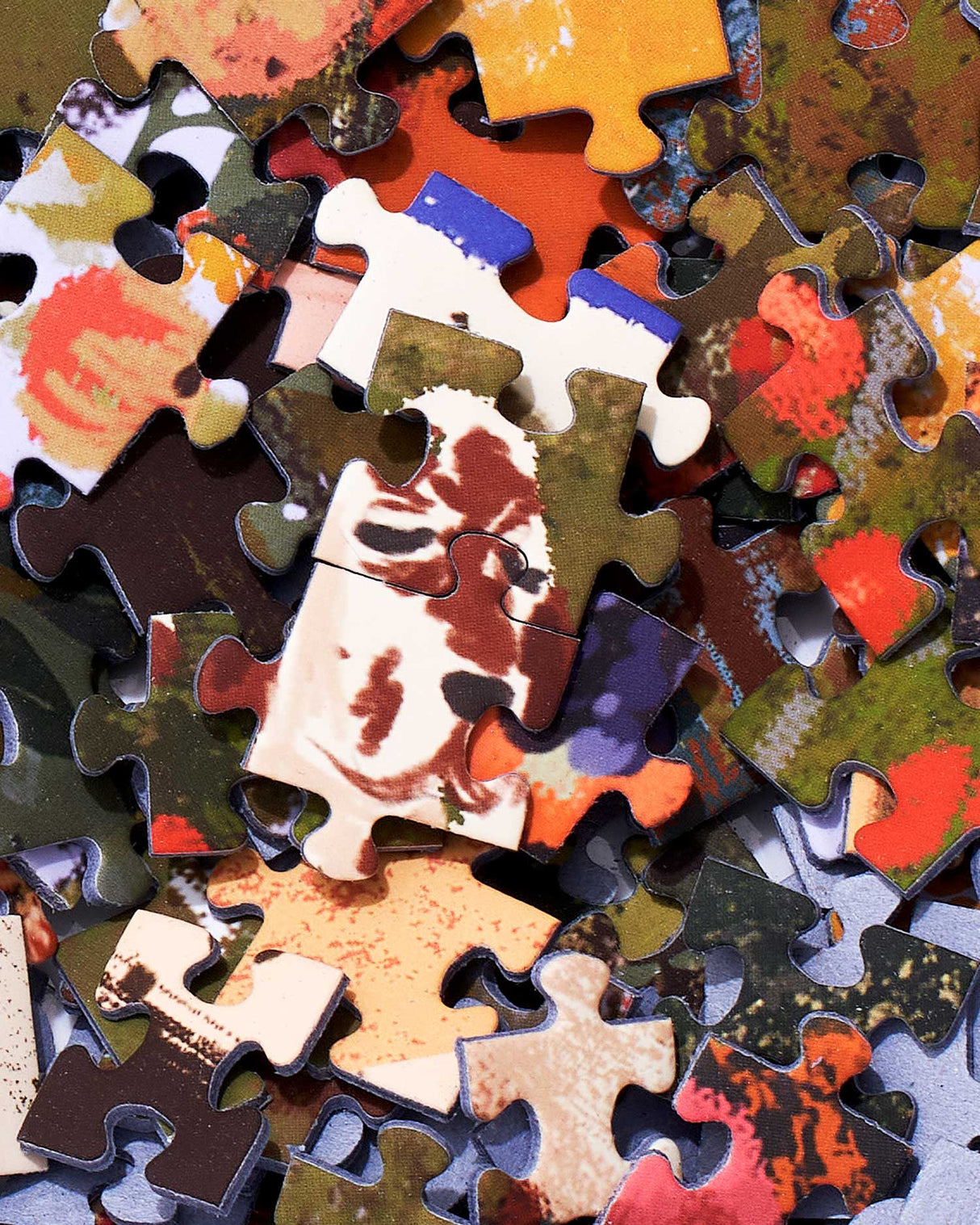 Fall in the Countryside Puzzle from Ordinary Habit